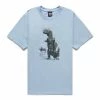 Stüssy BIG & MEATY PIG. DYED TEE -Tom wood Shop STUSSYBIG MEATYPIG.DYEDTEESKYBLUES1904880 1
