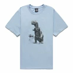 Stüssy BIG & MEATY PIG. DYED TEE